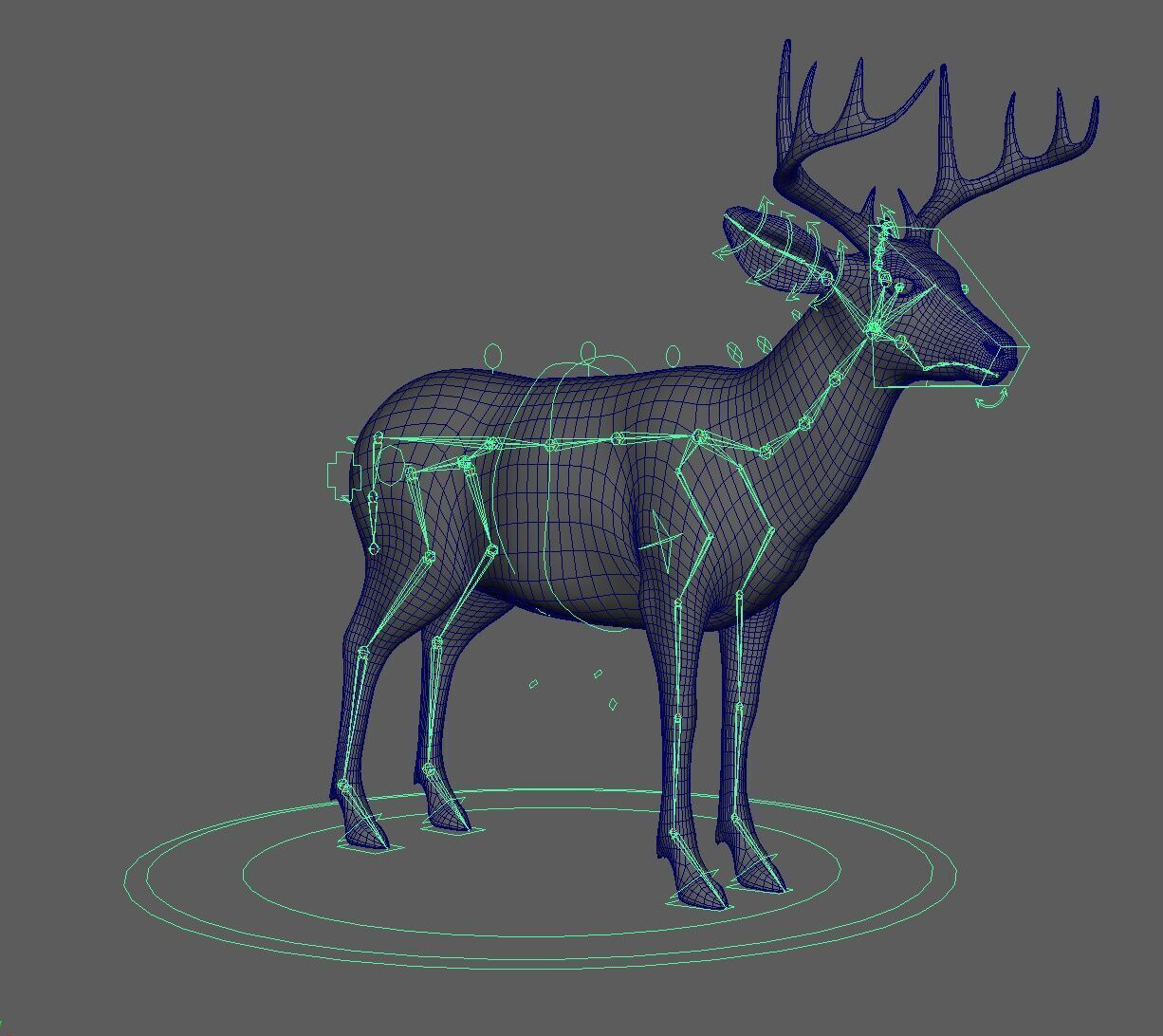 Deer ANIMATED XGEN CORE 3D model_17