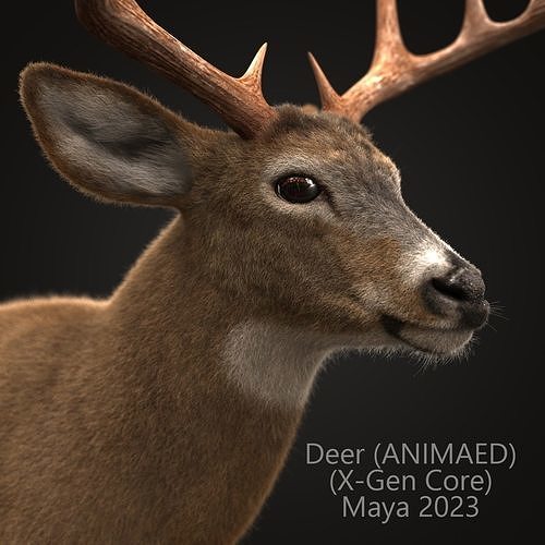Deer ANIMATED XGEN CORE 3D model