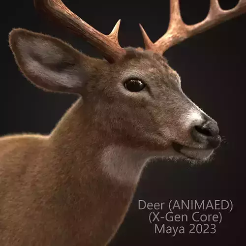 Deer ANIMATED XGEN CORE