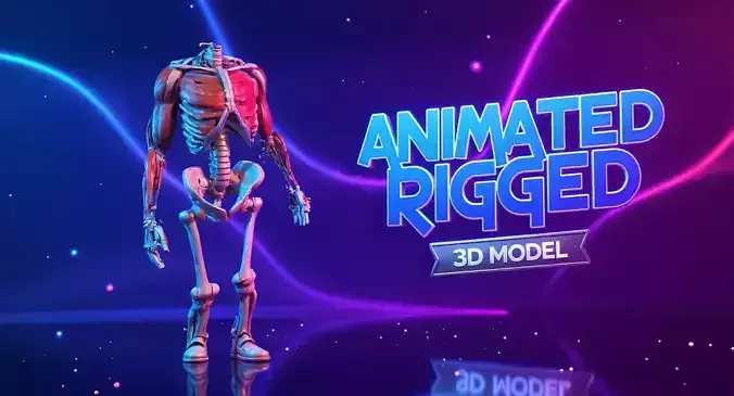 Human Skeleton Low-poly 3D model