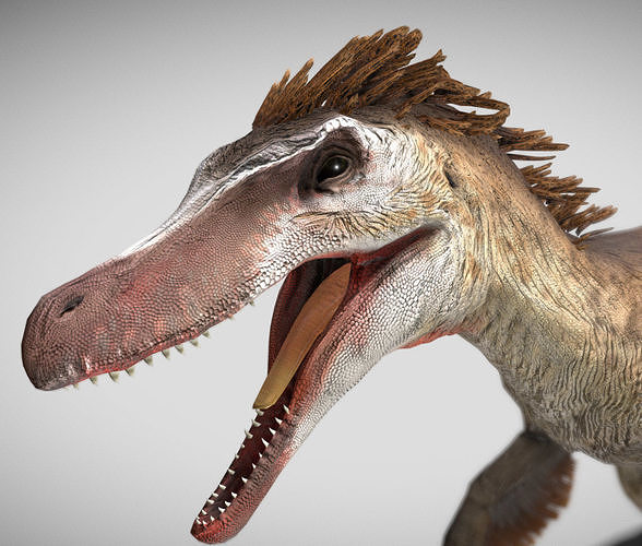VelociraptorThe Swift Predator of the Cretaceous Low-poly 3D model