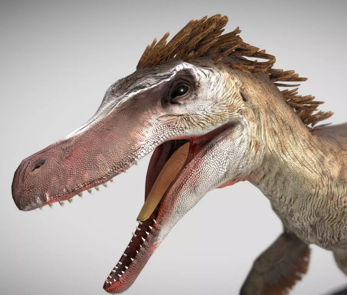 VelociraptorThe Swift Predator of the Cretaceous Low-poly 3D model