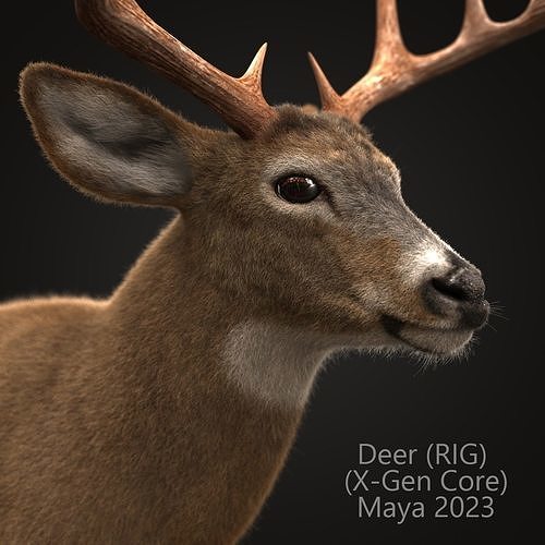 Deer RIG XGEN CORE 3D model