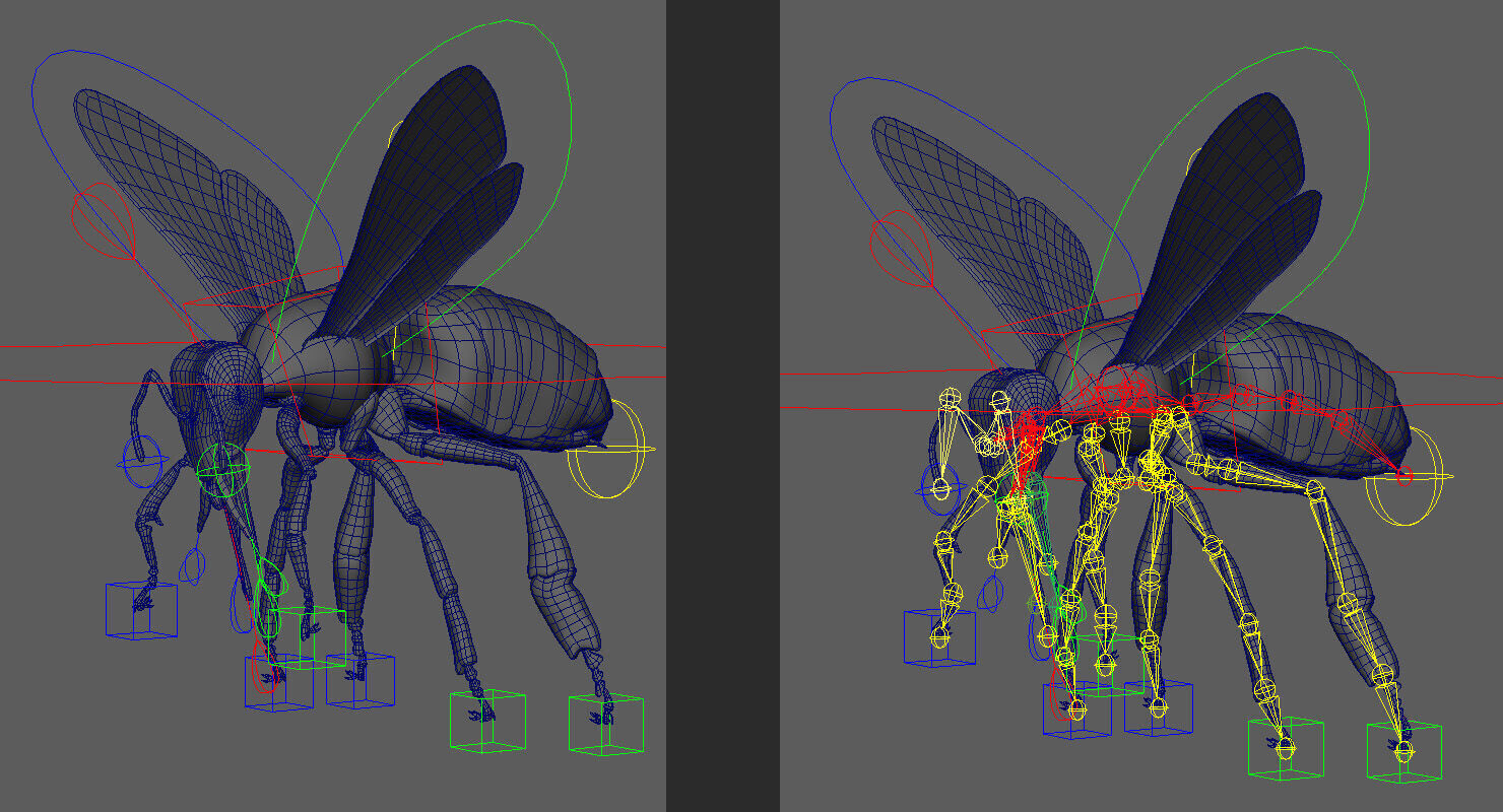 HONEYBEE XGEN CORE ANIMATED 3D model_6