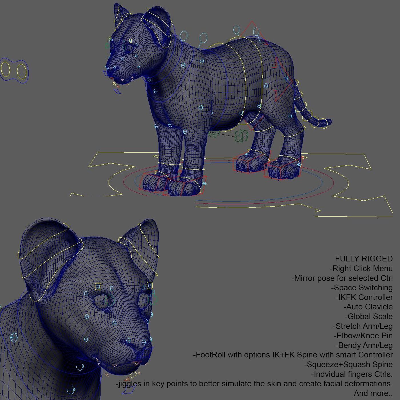 Lion Cub RIG XGEN CORE 3D model_9