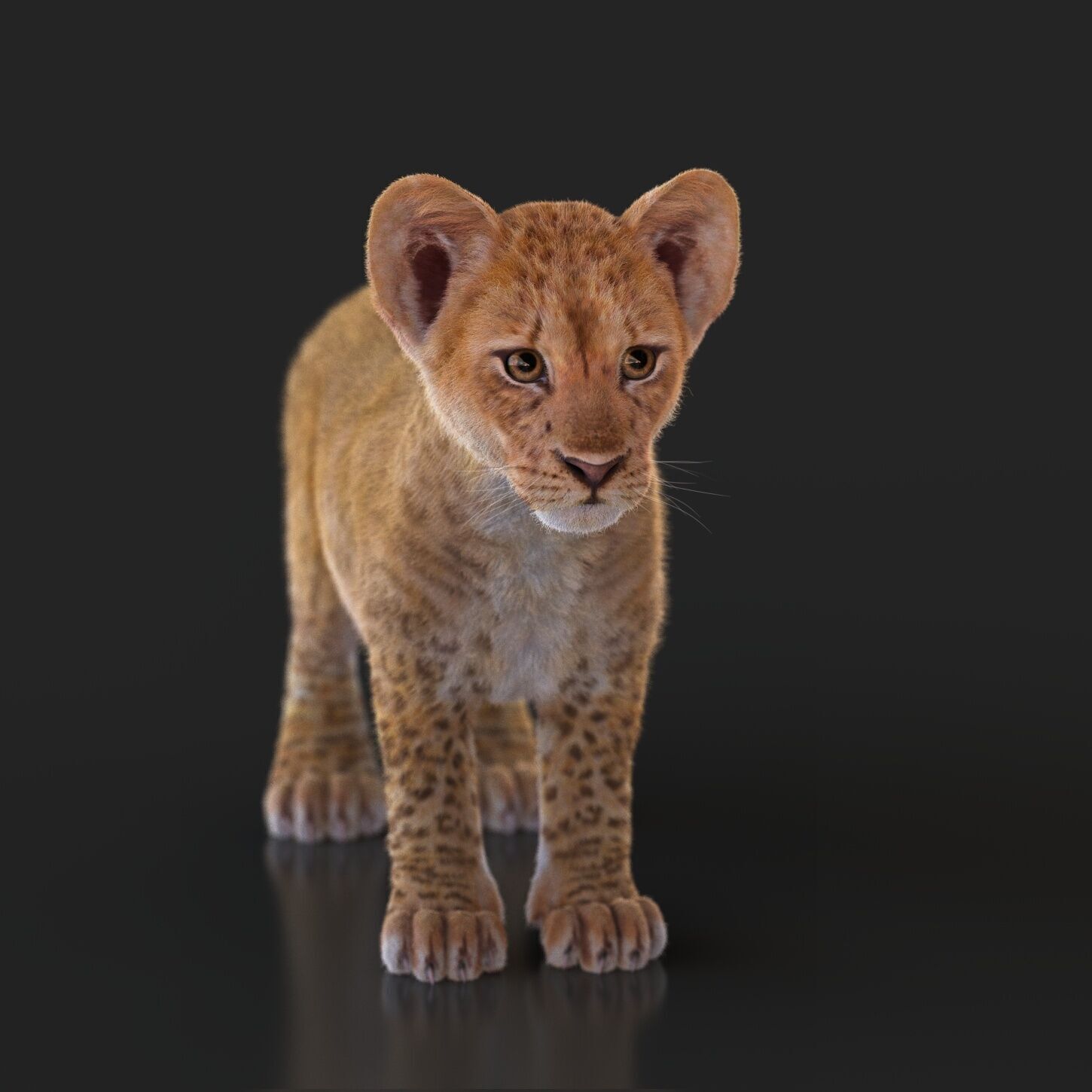Lion Cub RIG XGEN CORE 3D model_2