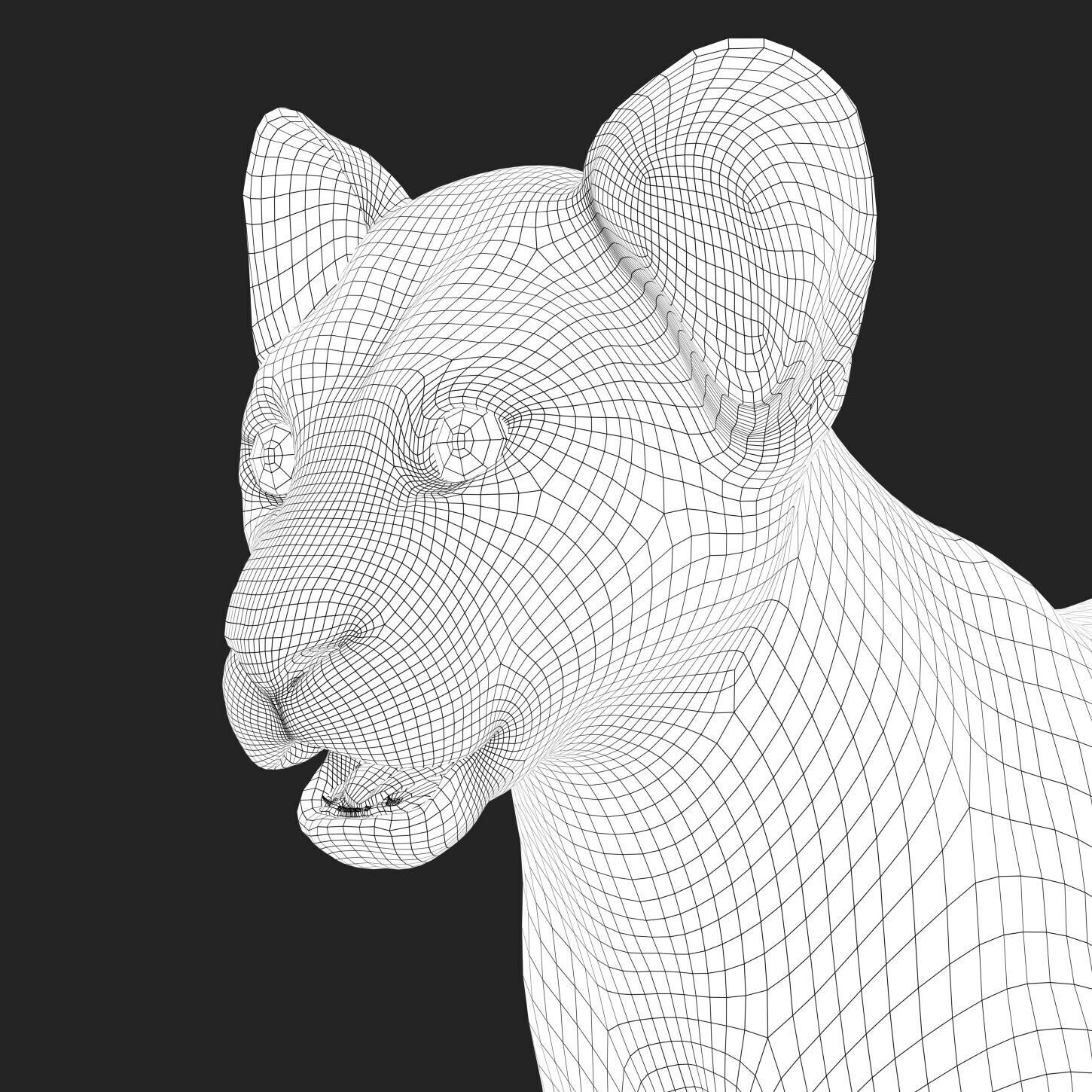 Lion Cub RIG XGEN CORE 3D model_8
