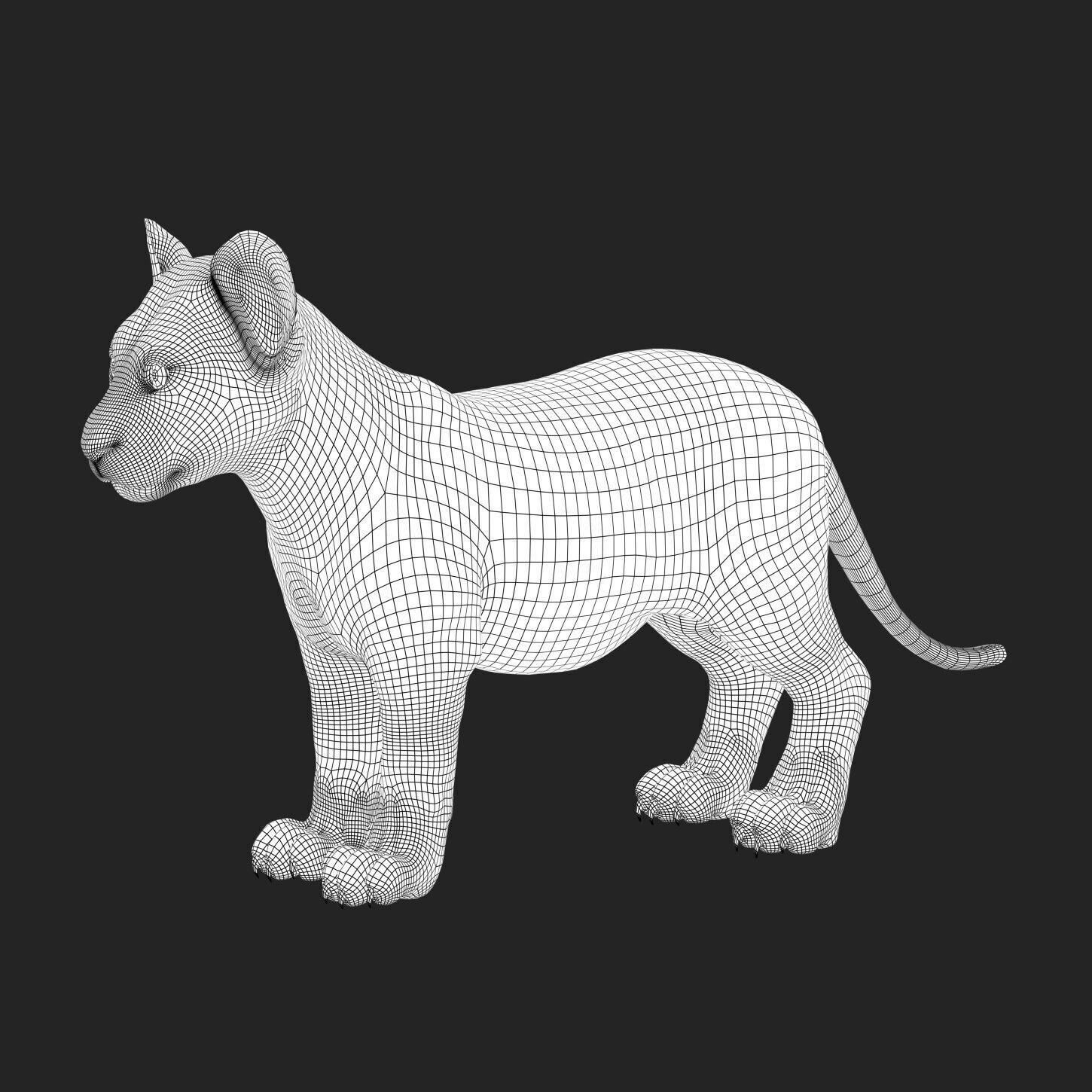 Lion Cub RIG XGEN CORE 3D model_5
