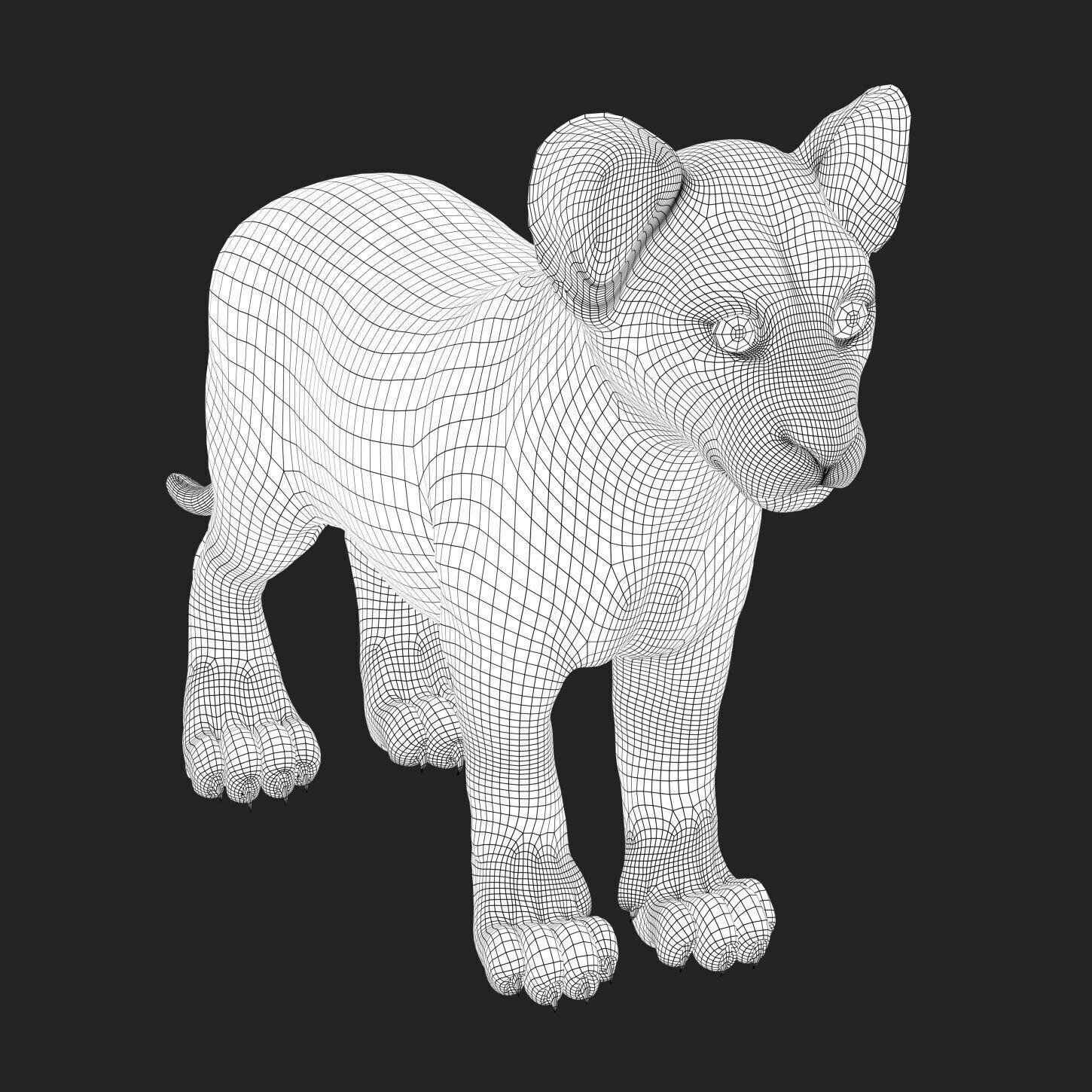 Lion Cub RIG XGEN CORE 3D model_6