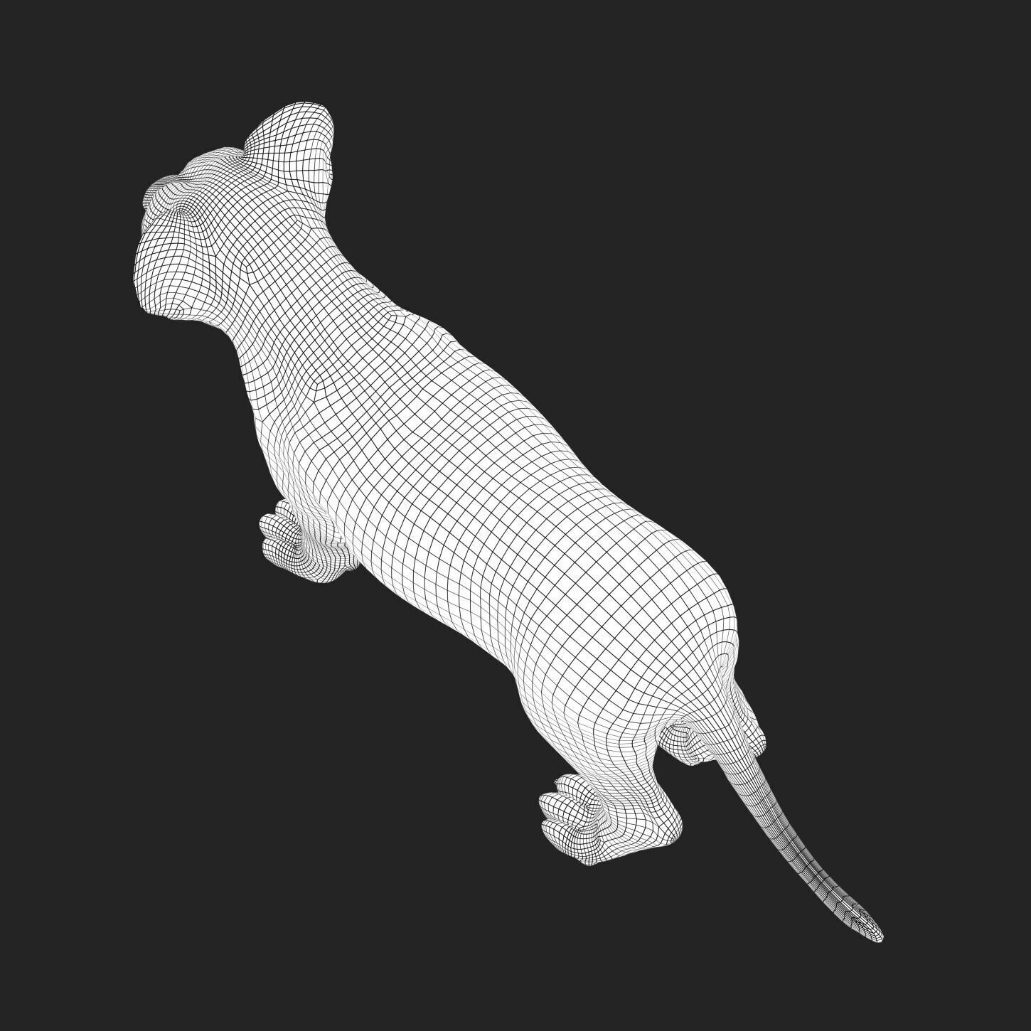 Lion Cub RIG XGEN CORE 3D model_7