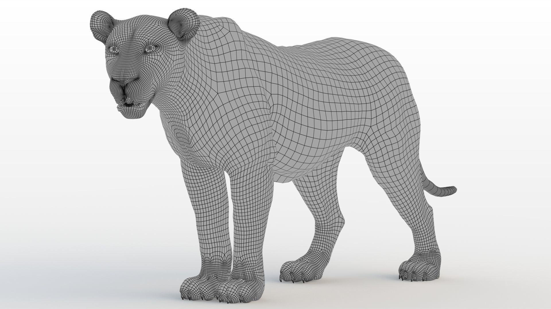 Lioness RIG XGEN CORE 3D model_13