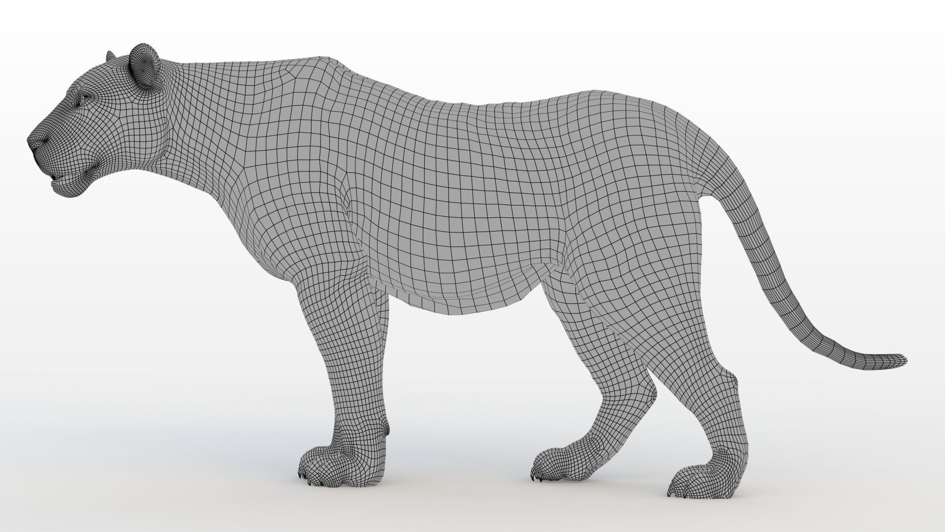Lioness RIG XGEN CORE 3D model_15