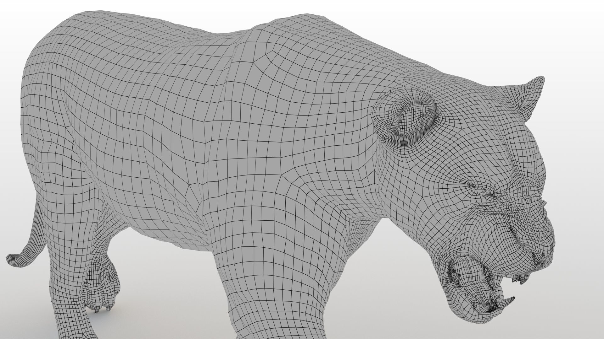 Lioness RIG XGEN CORE 3D model_18