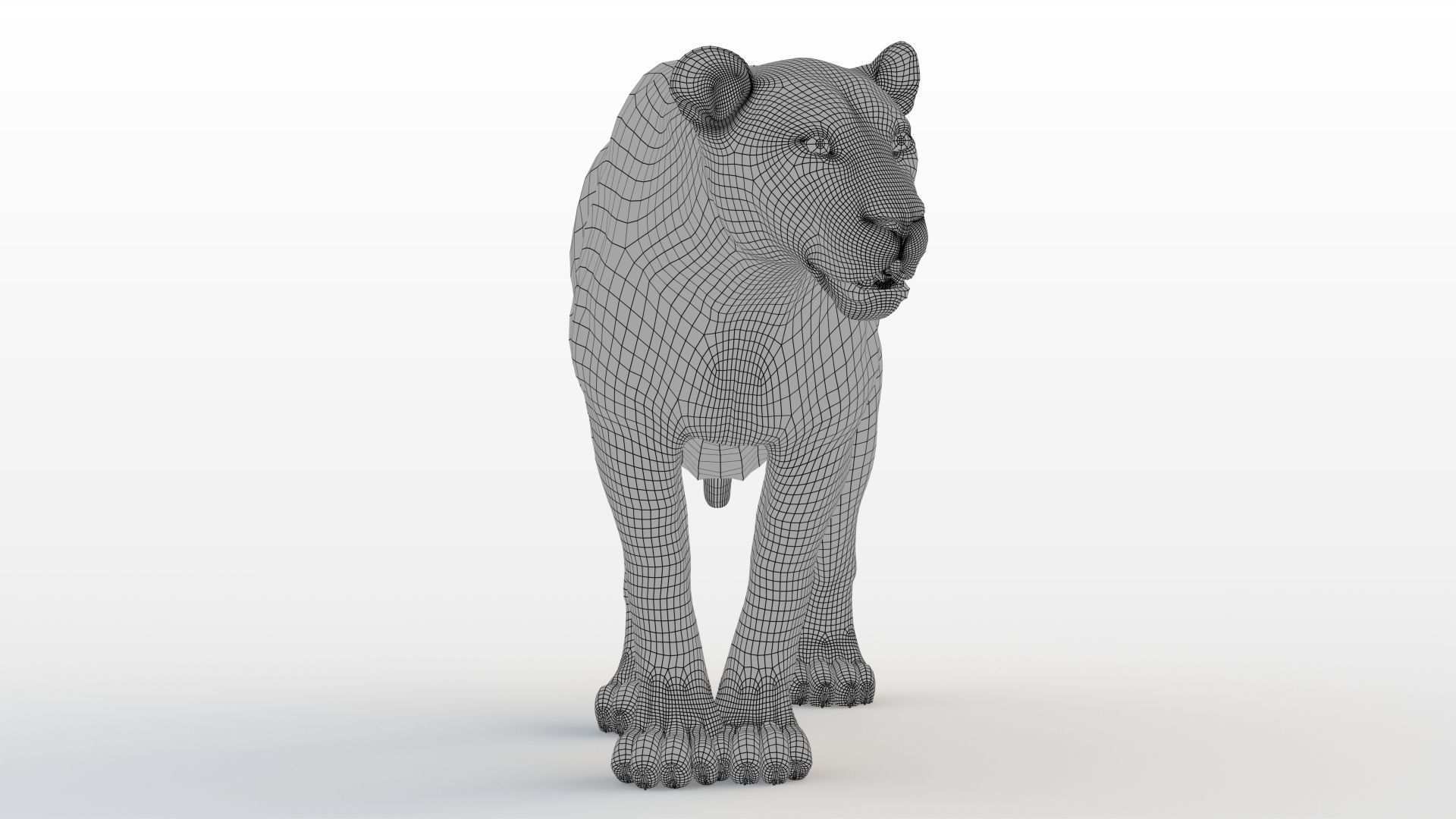 Lioness RIG XGEN CORE 3D model_14