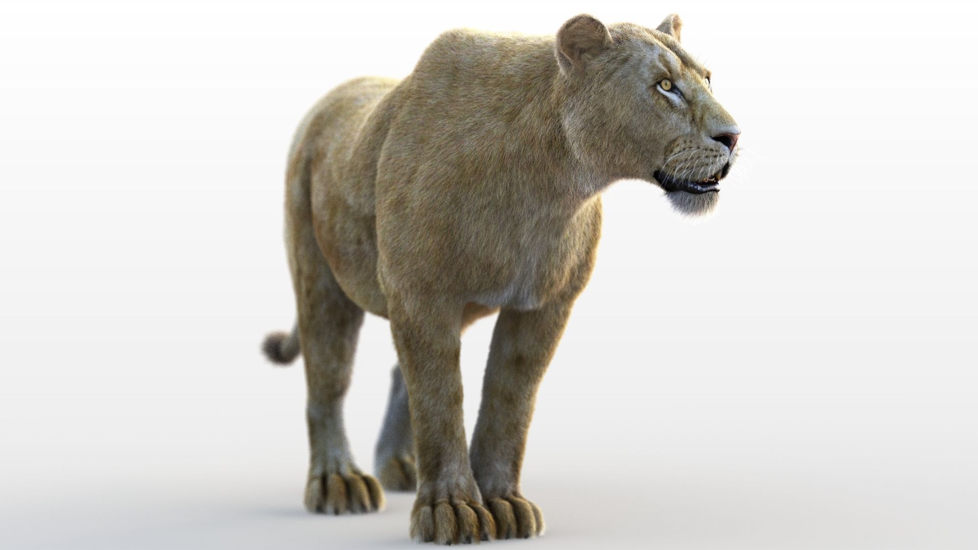 Lioness RIG XGEN CORE 3D model_5