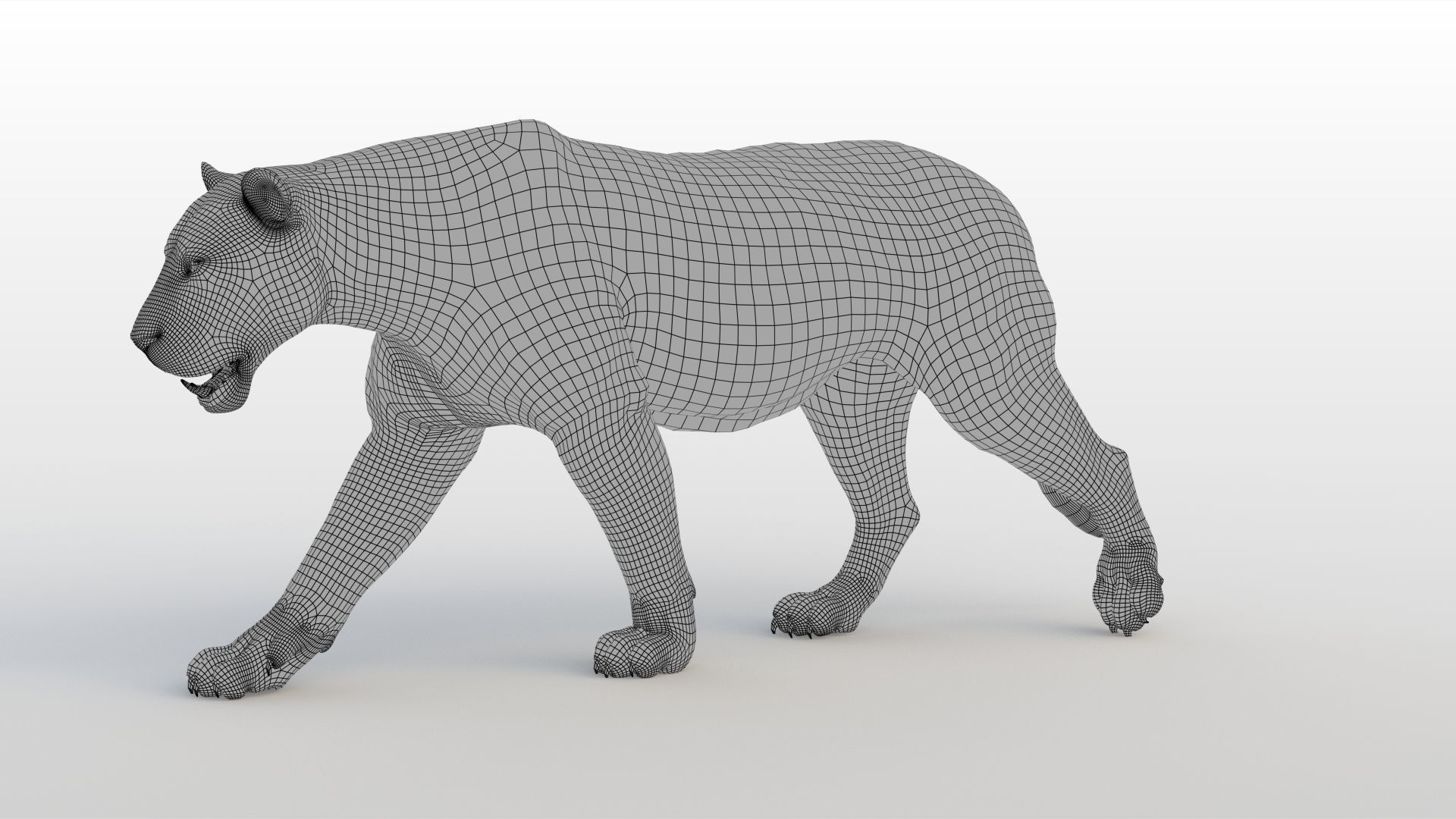 Lioness RIG XGEN CORE 3D model_16