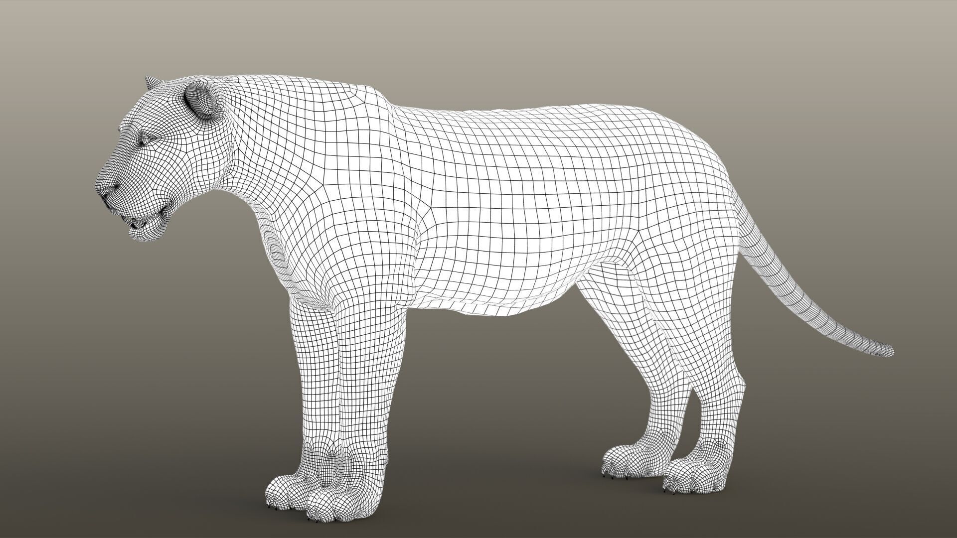 Lion B RIG XGEN CORE 3D model_16