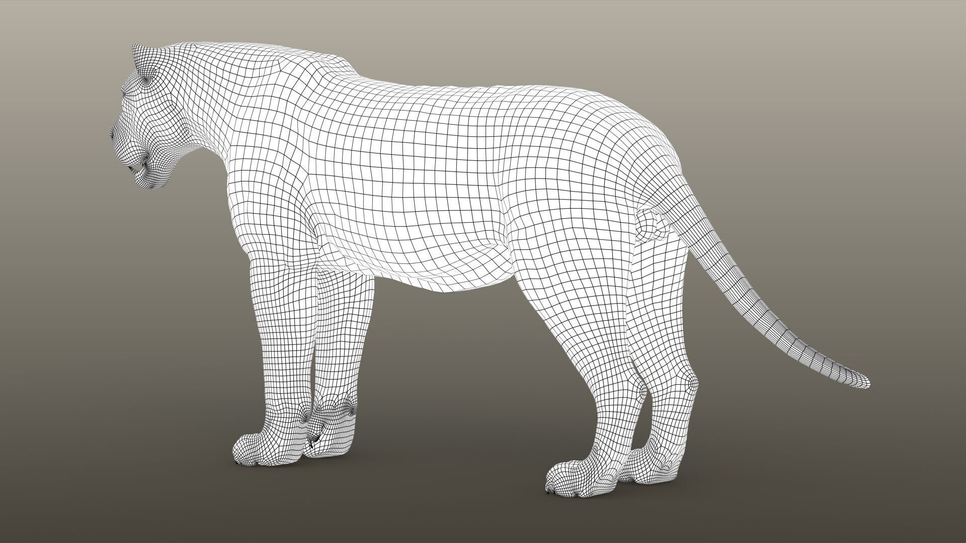 Lion B RIG XGEN CORE 3D model_17