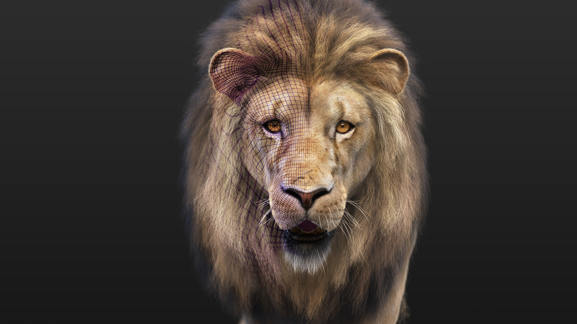 Lion B RIG XGEN CORE 3D model_5
