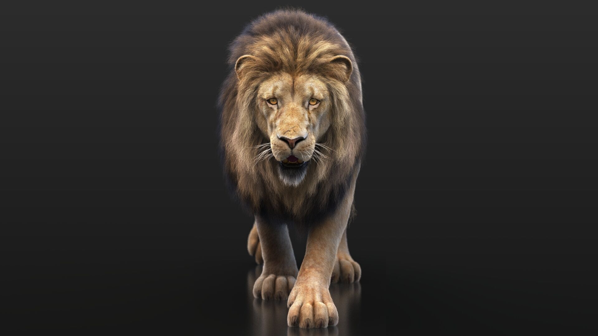 Lion B RIG XGEN CORE 3D model_3