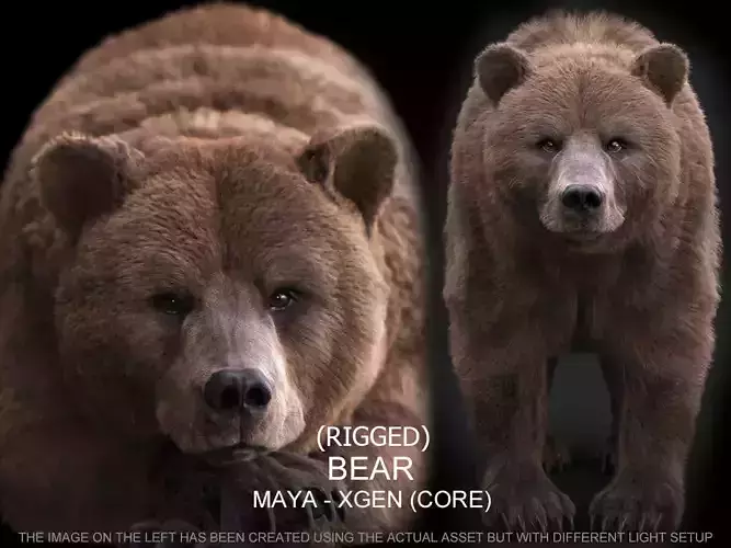 Bear RIG xgen core