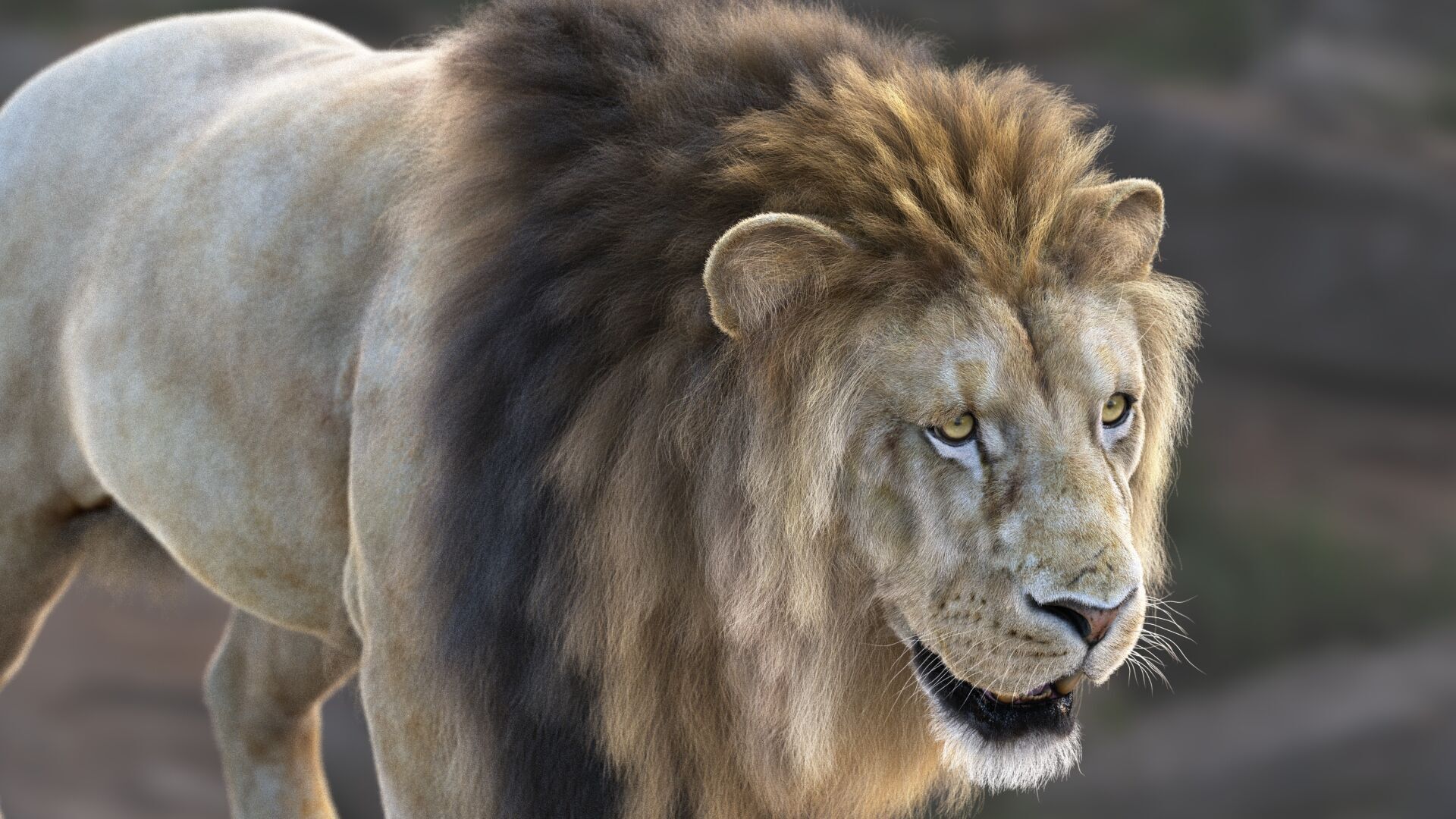 Lion A RIG XGEN CORE 3D model_7