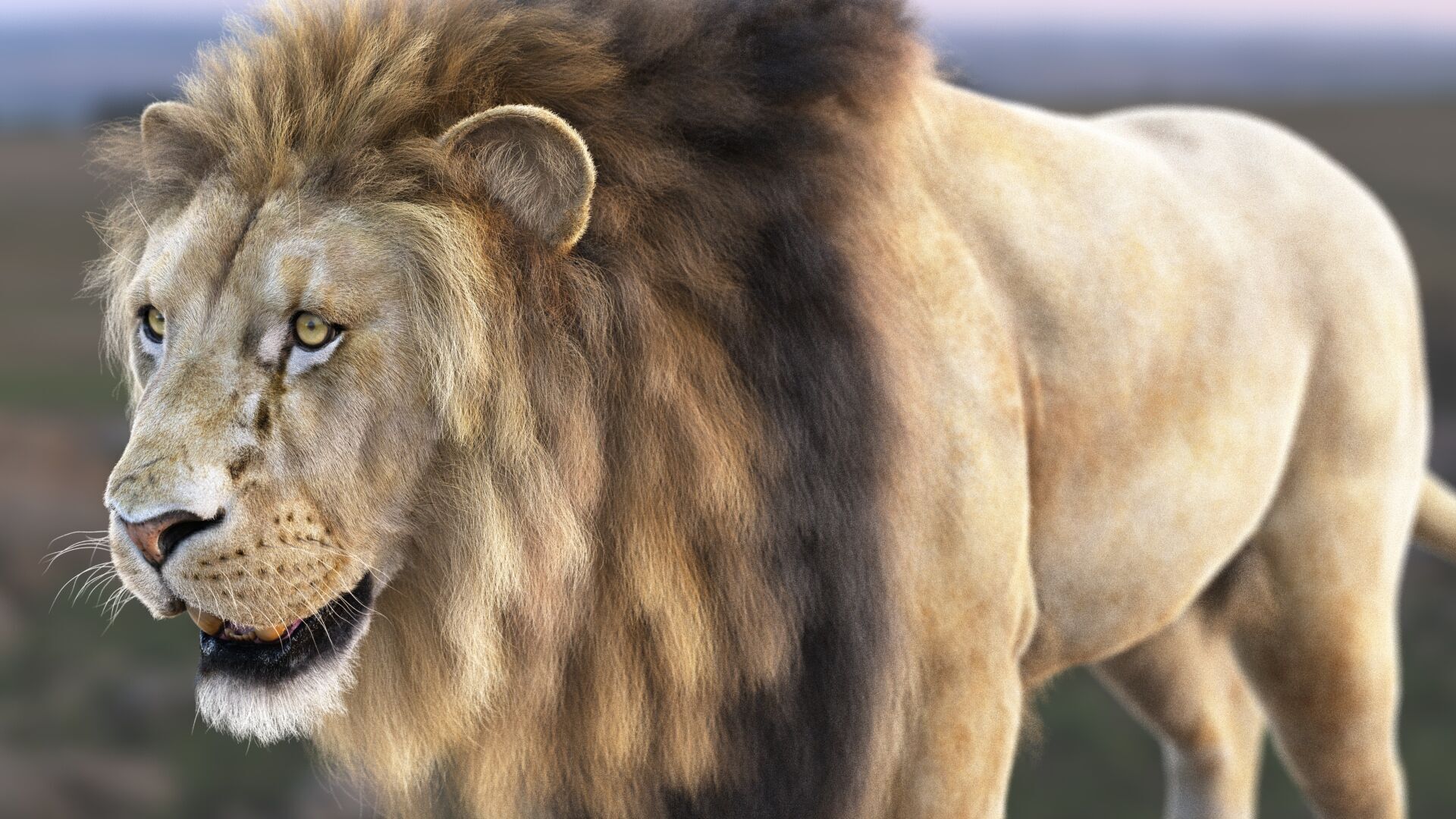 Lion A RIG XGEN CORE 3D model_4