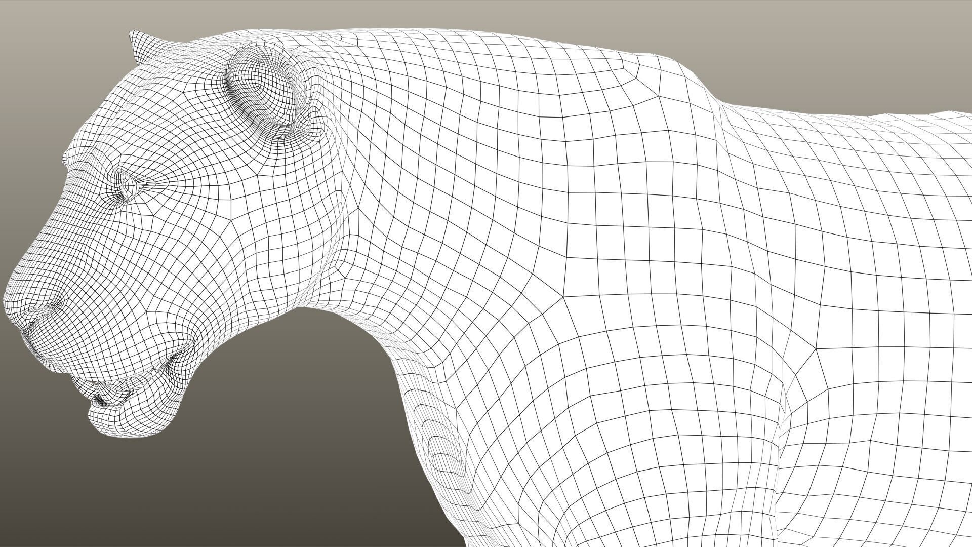 Lion A RIG XGEN CORE 3D model_12