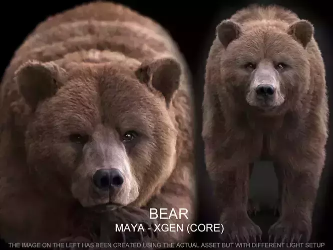 Bear xgen core