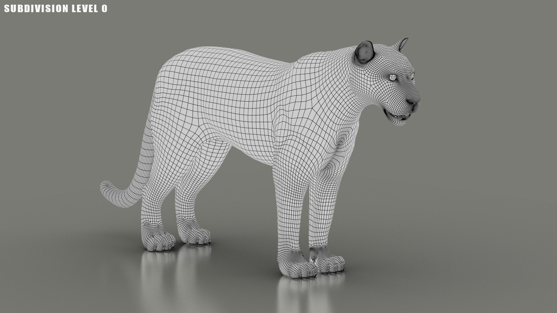 Black Jaguar ANIMATED Xgen core 3D model_15