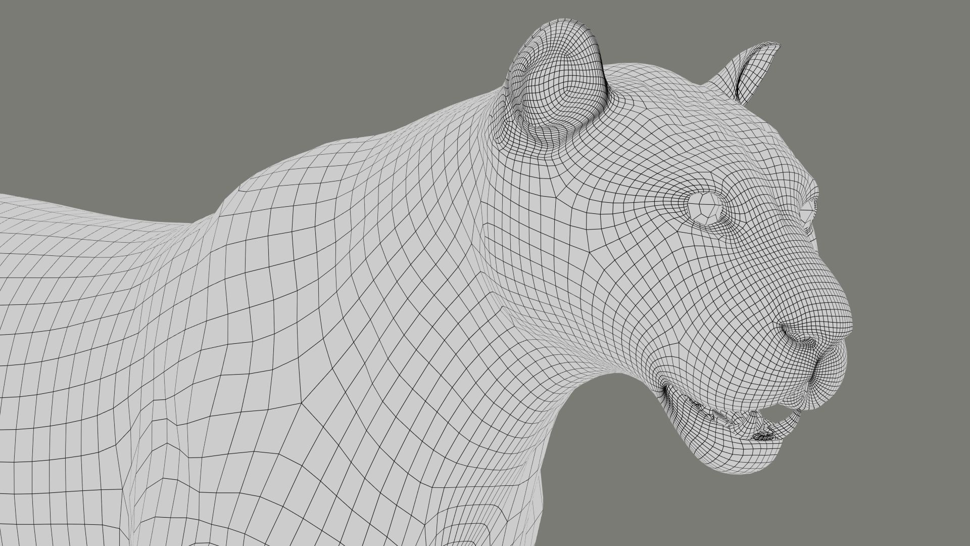 Black Jaguar ANIMATED Xgen core 3D model_14