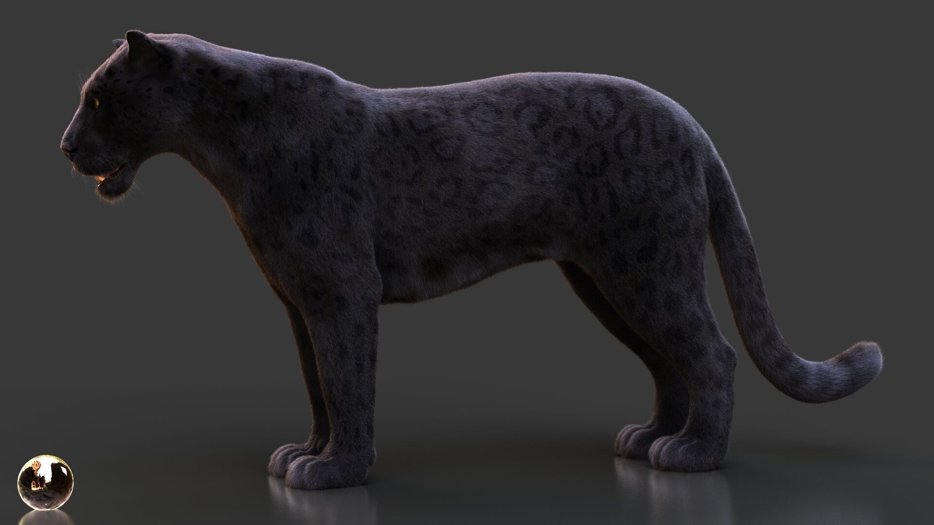 Black Jaguar ANIMATED Xgen core 3D model_3