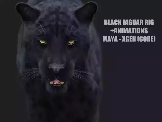 Black Jaguar ANIMATED Xgen core 3D model