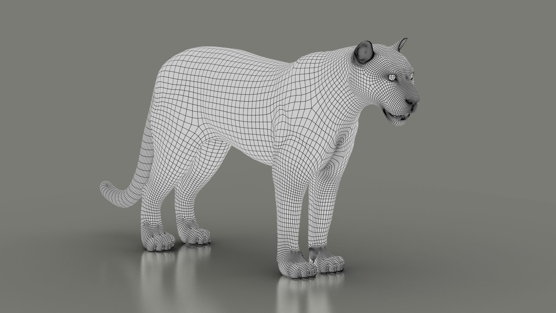 Black Jaguar ANIMATED Xgen core 3D model_12