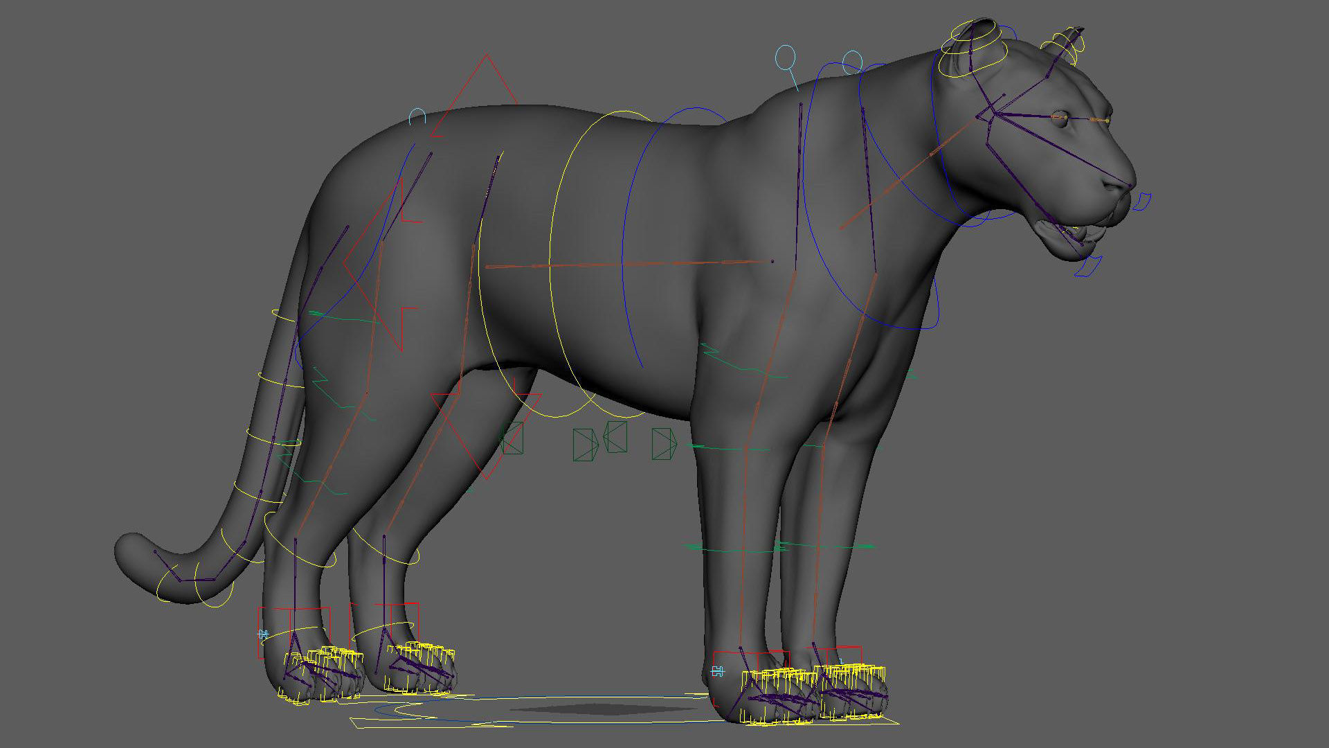 Black Jaguar ANIMATED Xgen core 3D model_16