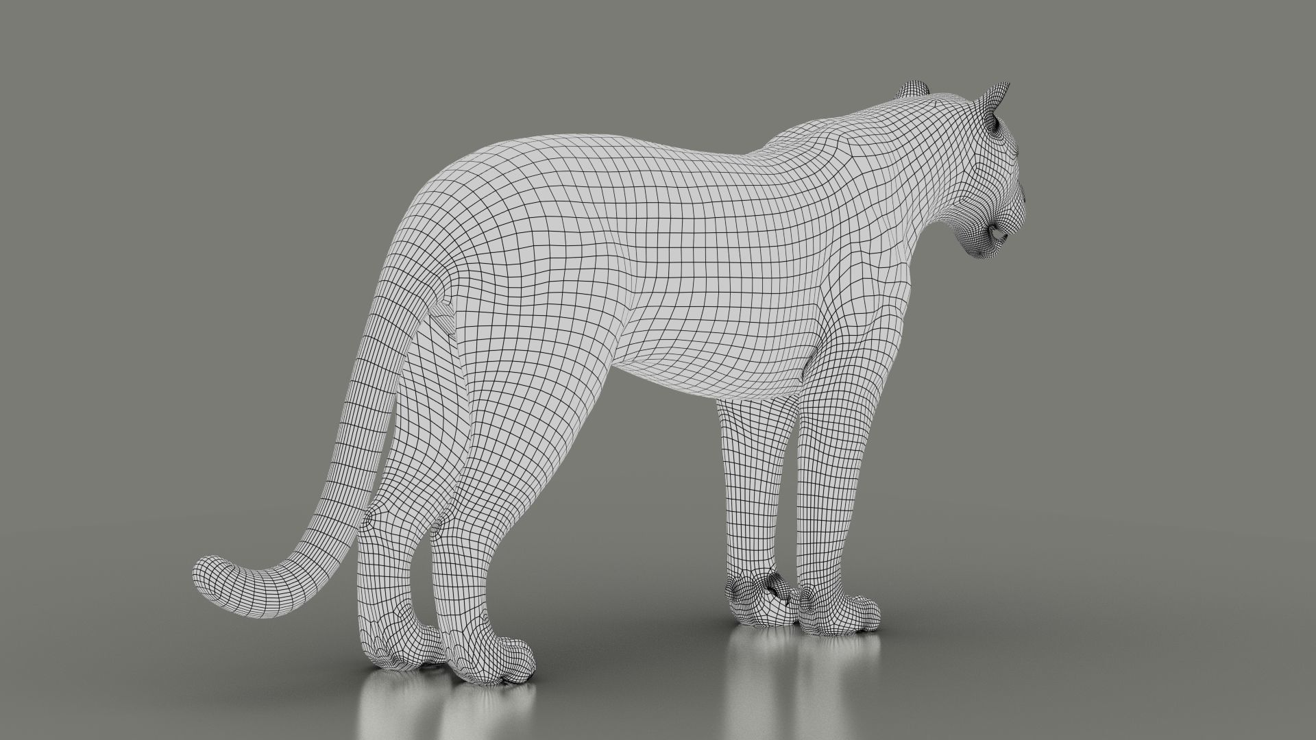Black Jaguar ANIMATED Xgen core 3D model_11