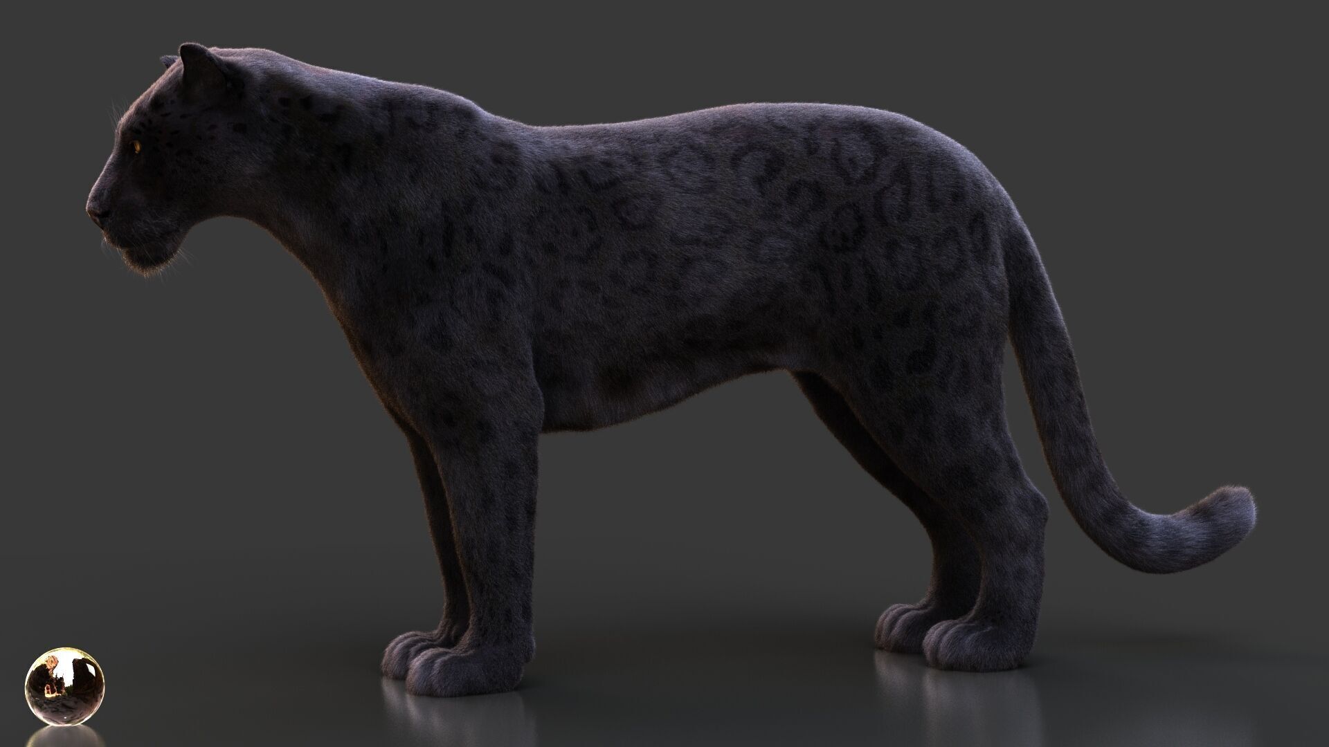 Black Jaguar ANIMATED Xgen core 3D model_2