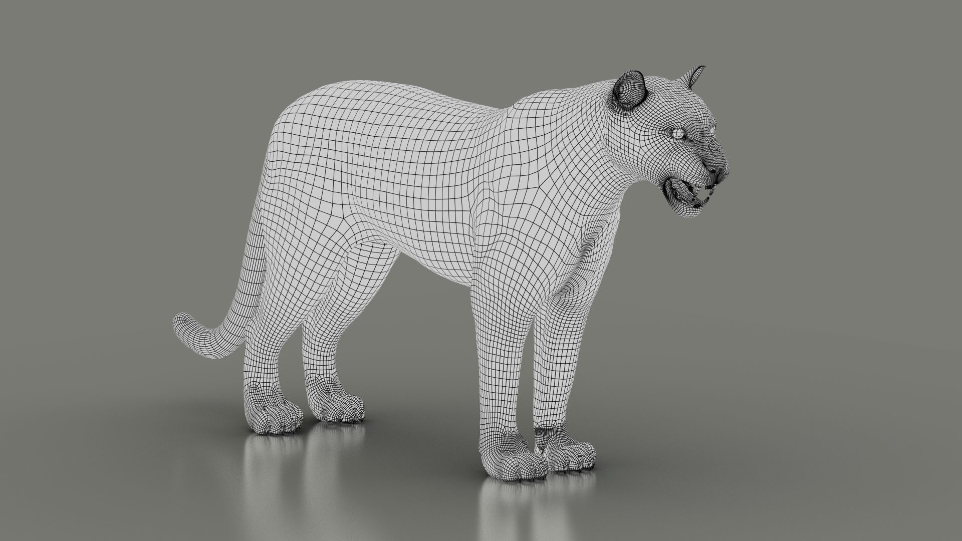 Black Jaguar ANIMATED Xgen core 3D model_13