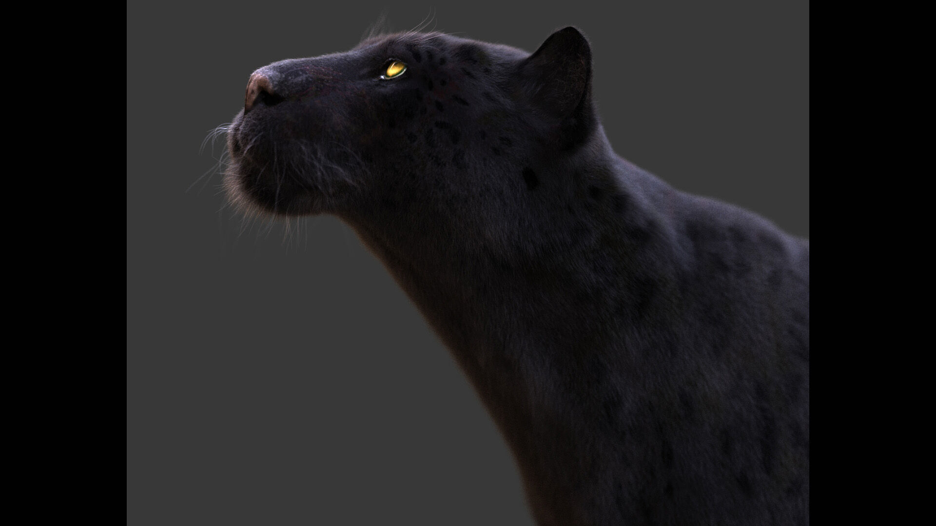 Black Jaguar RIG Xgen core 3D model_10