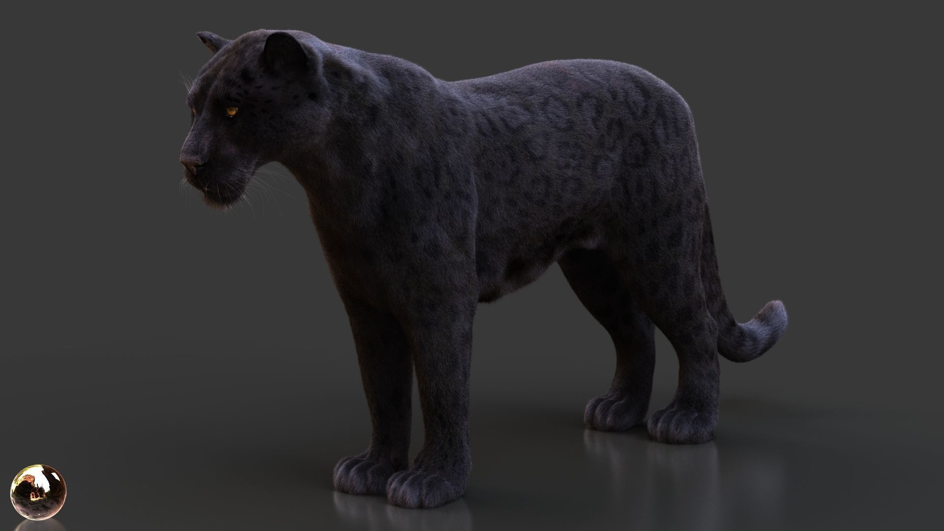 Black Jaguar RIG Xgen core 3D model_3