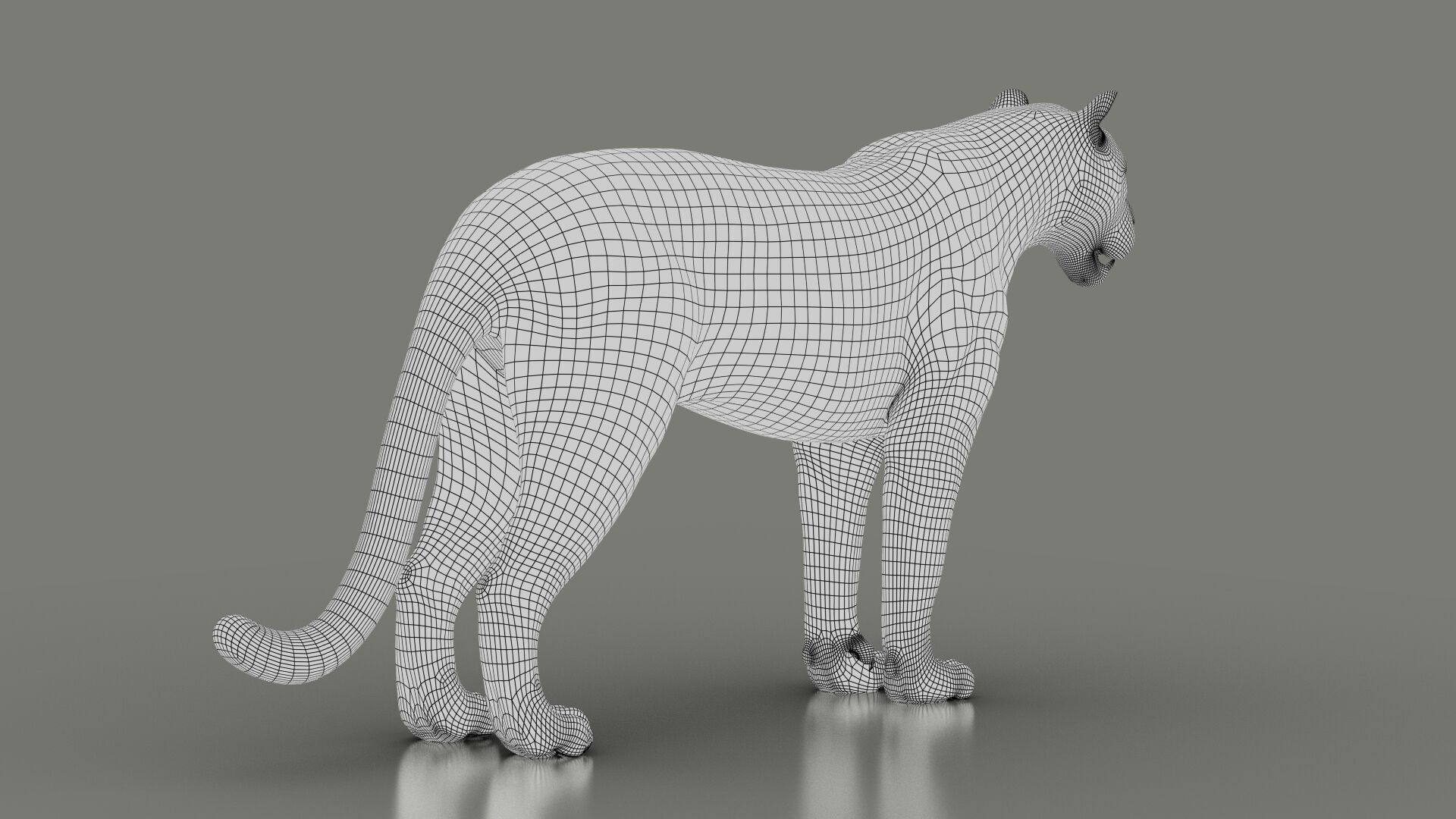 Black Jaguar RIG Xgen core 3D model_13