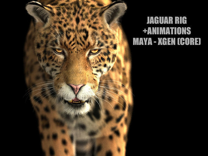 Jaguar ANIMATED Xgen core 3D model