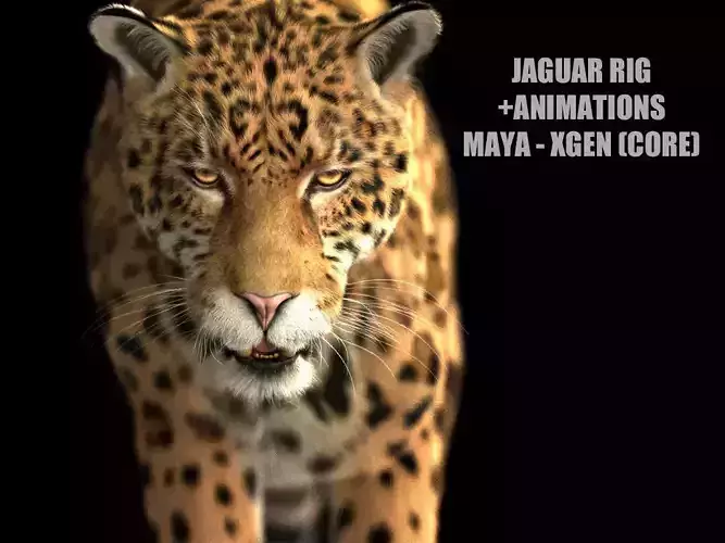 Jaguar ANIMATED Xgen core