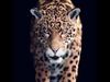 Jaguar ANIMATED Xgen core 3D model_1