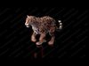 Jaguar ANIMATED Xgen core 3D model_2
