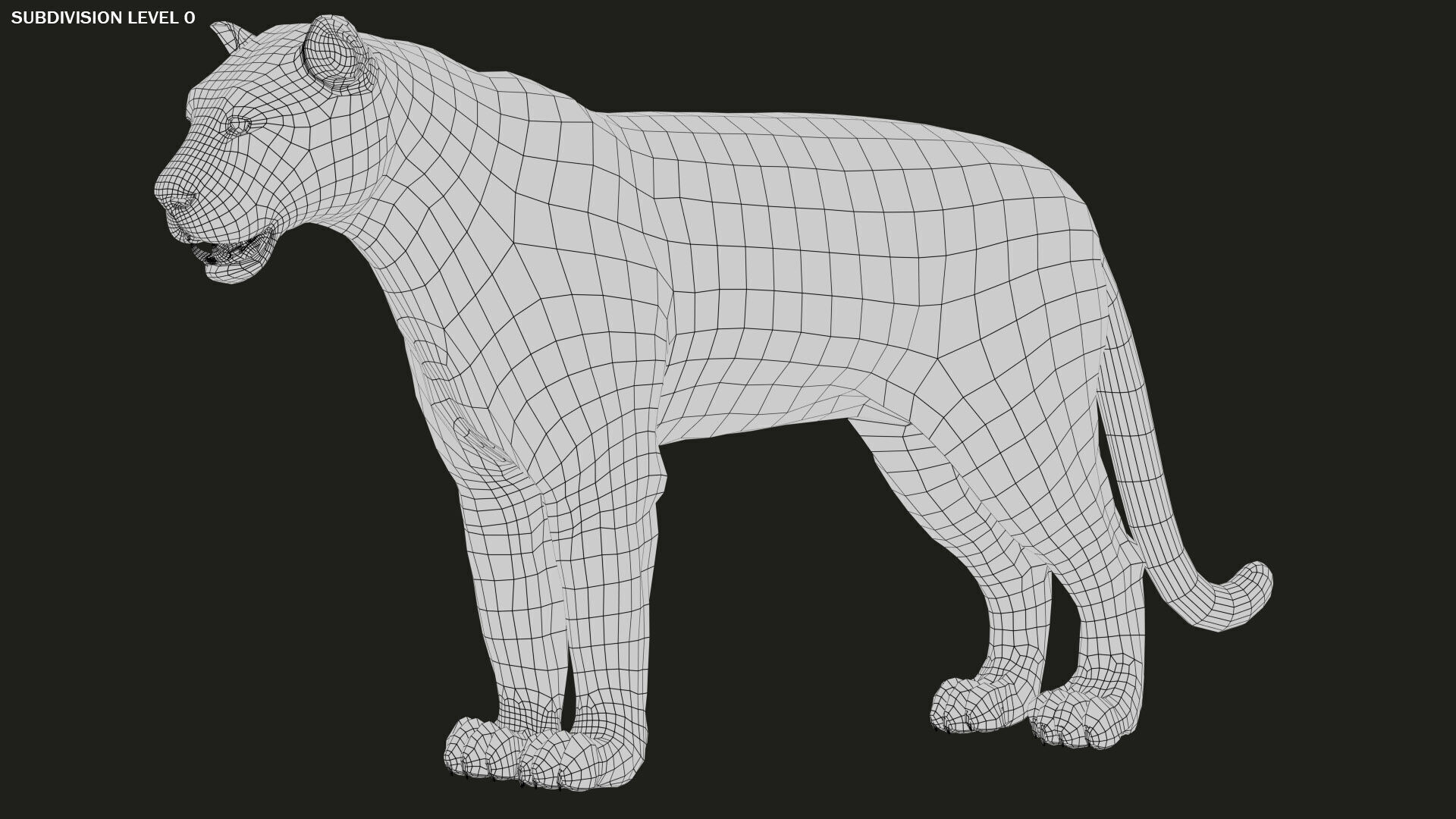 White Bengal Tiger Rigged Xgen core 3D model_11