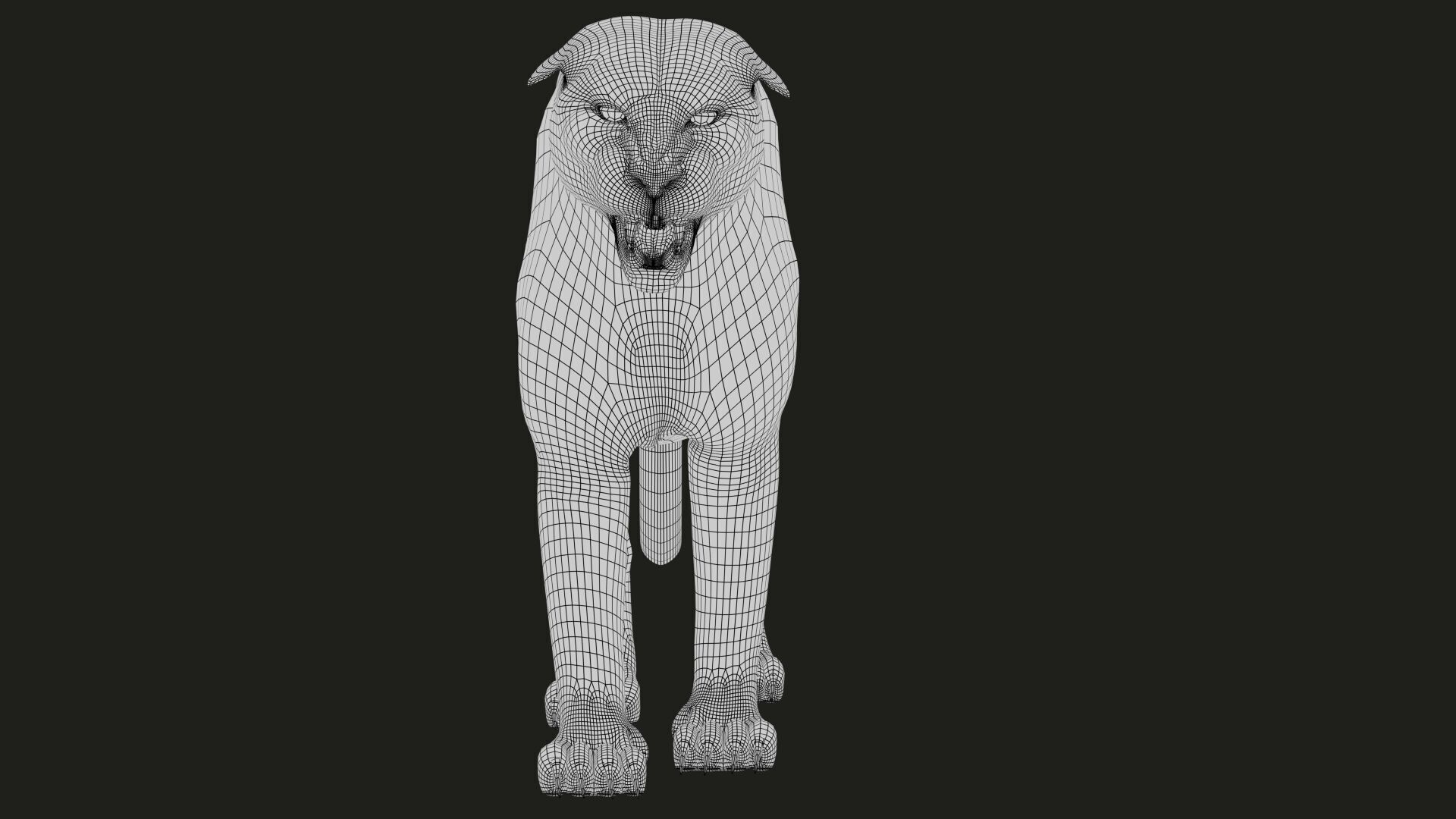 White Bengal Tiger Rigged Xgen core 3D model_15