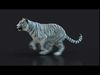 White Bengal Tiger Animated Xgen core 3D model_1
