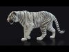 White Bengal Tiger Animated Xgen core 3D model_2
