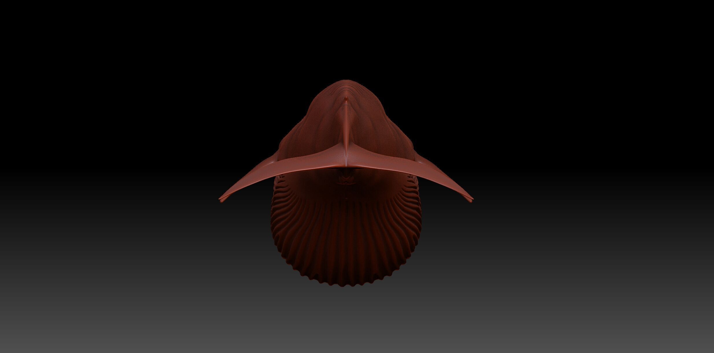 Blue Whale 3D model_16